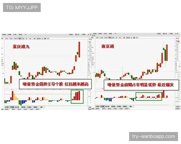 篮球规则解析：脚踢球违例的定义与判定方法详解